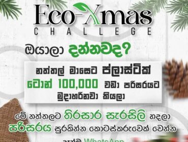 495463689_1114966007179598_8669746958043095637_n 495463689_1114966007179598_8669746958043095637_n