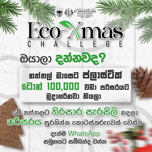 495463689_1114966007179598_8669746958043095637_n